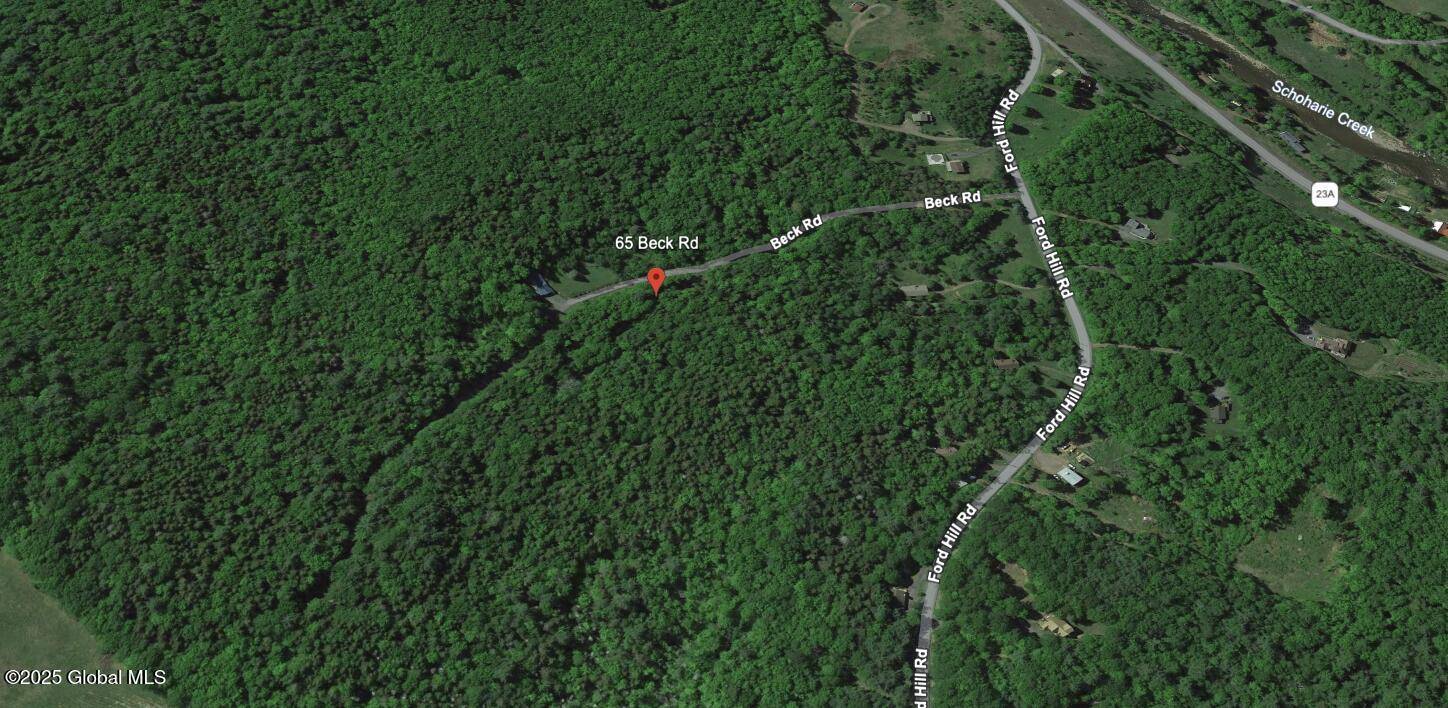 Jewett, NY 12444,65 Beck Road