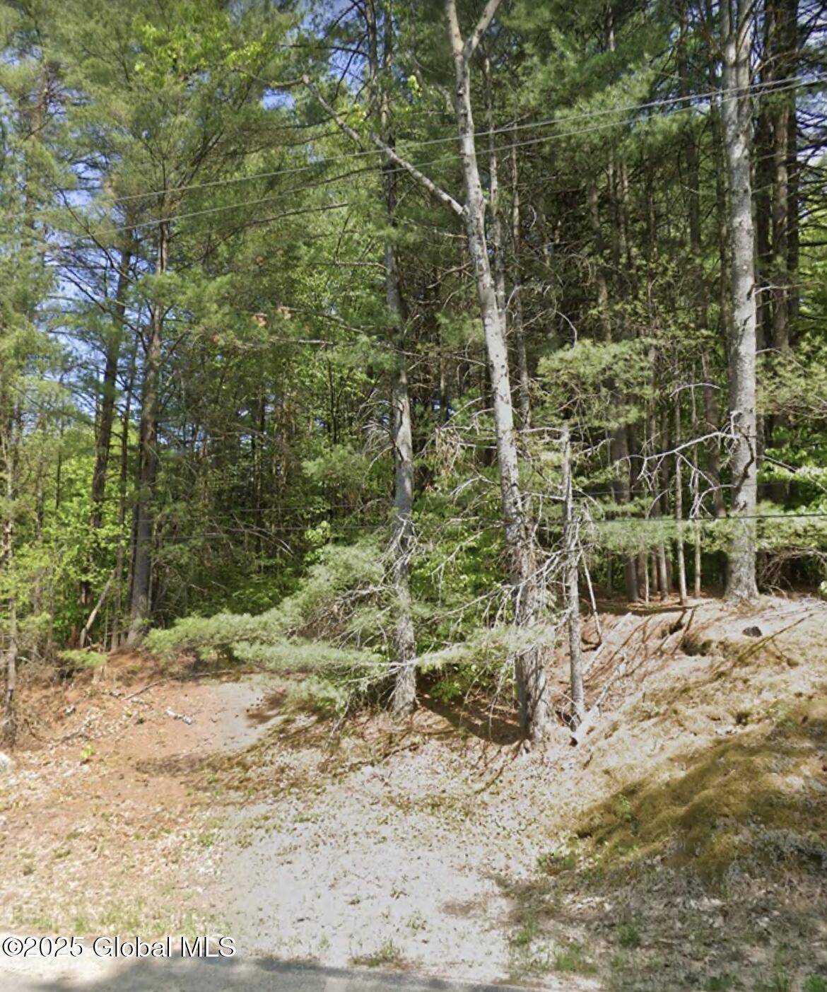 Corinth, NY 12859,79 Tannery Hill Road