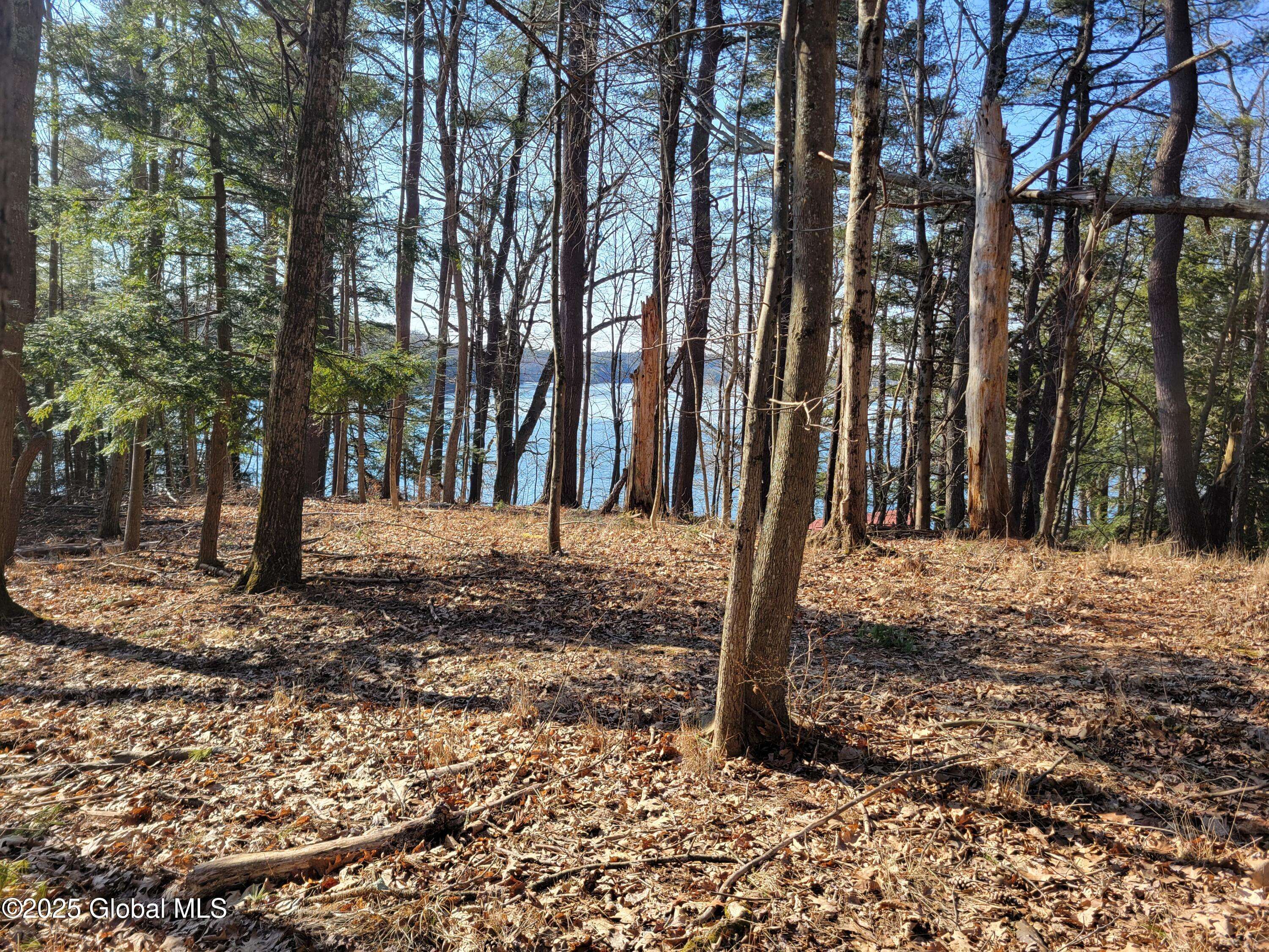 Sand Lake, NY 12018,56 Blue Heron Drive Drive #Lot 2