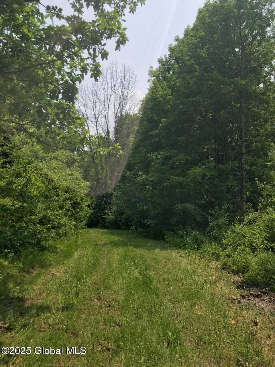 Chatham, NY 12037,L8 Lower Cady Road