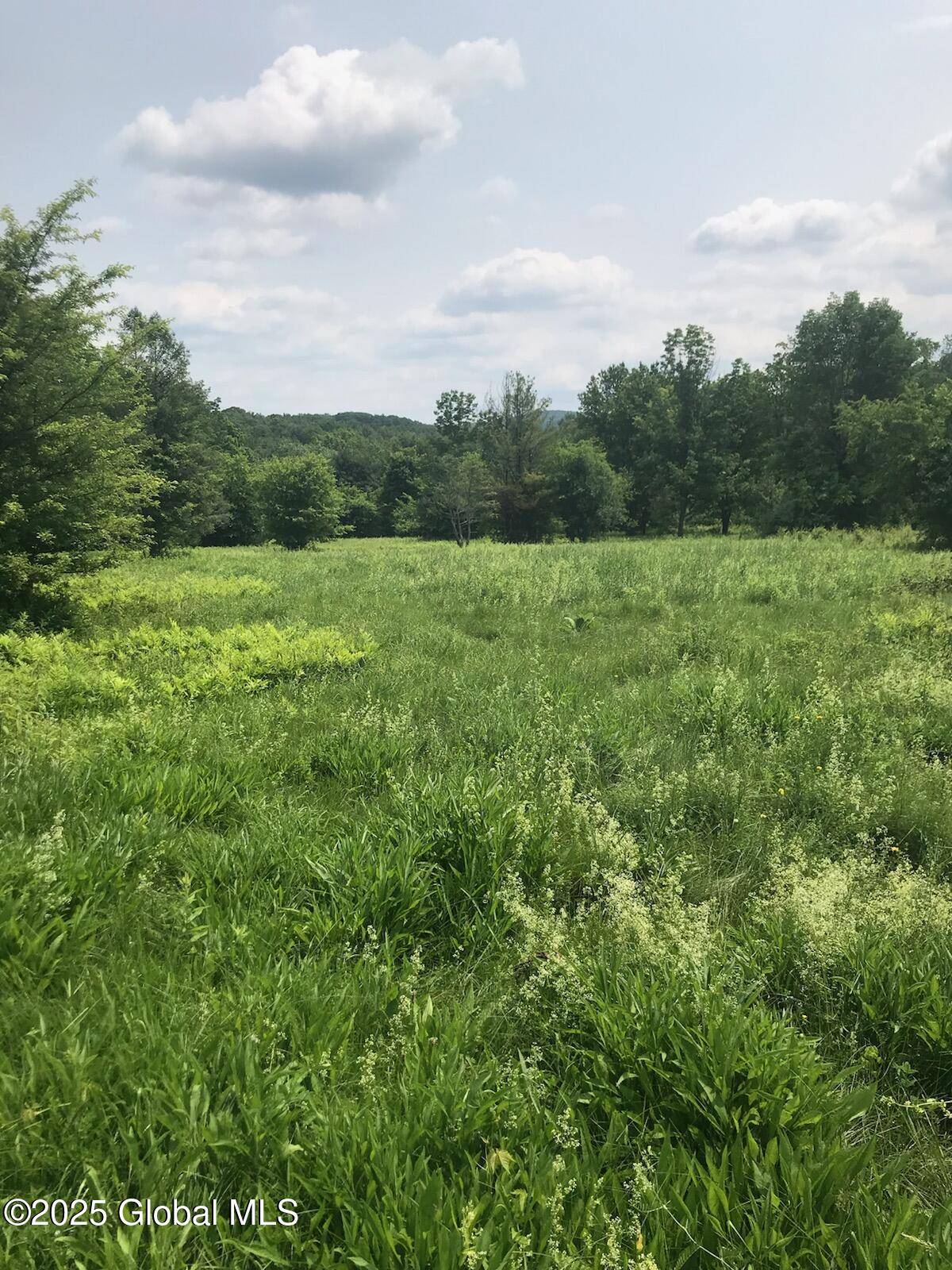 Chatham, NY 12037,L8 Cady Road
