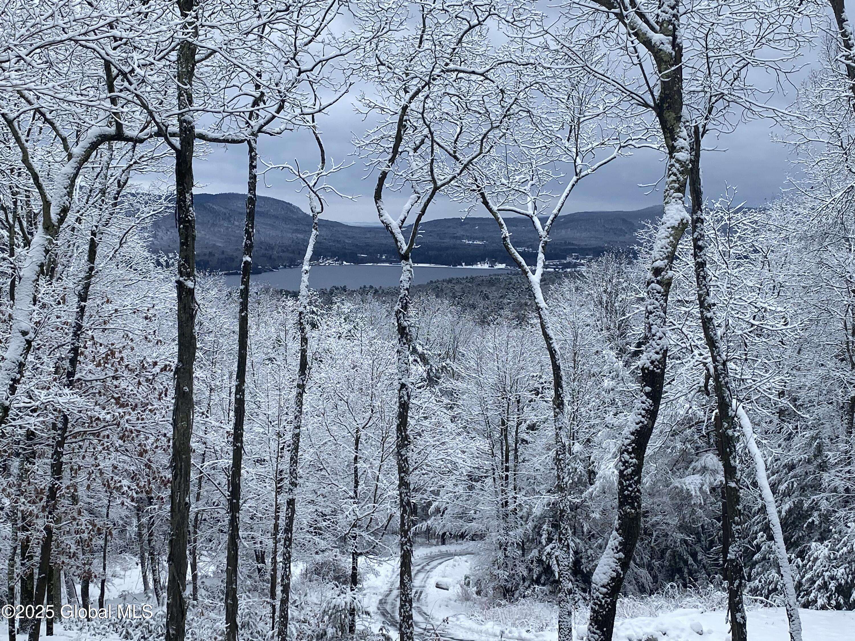 Lake George, NY 12845,L43.2 Travis Trail