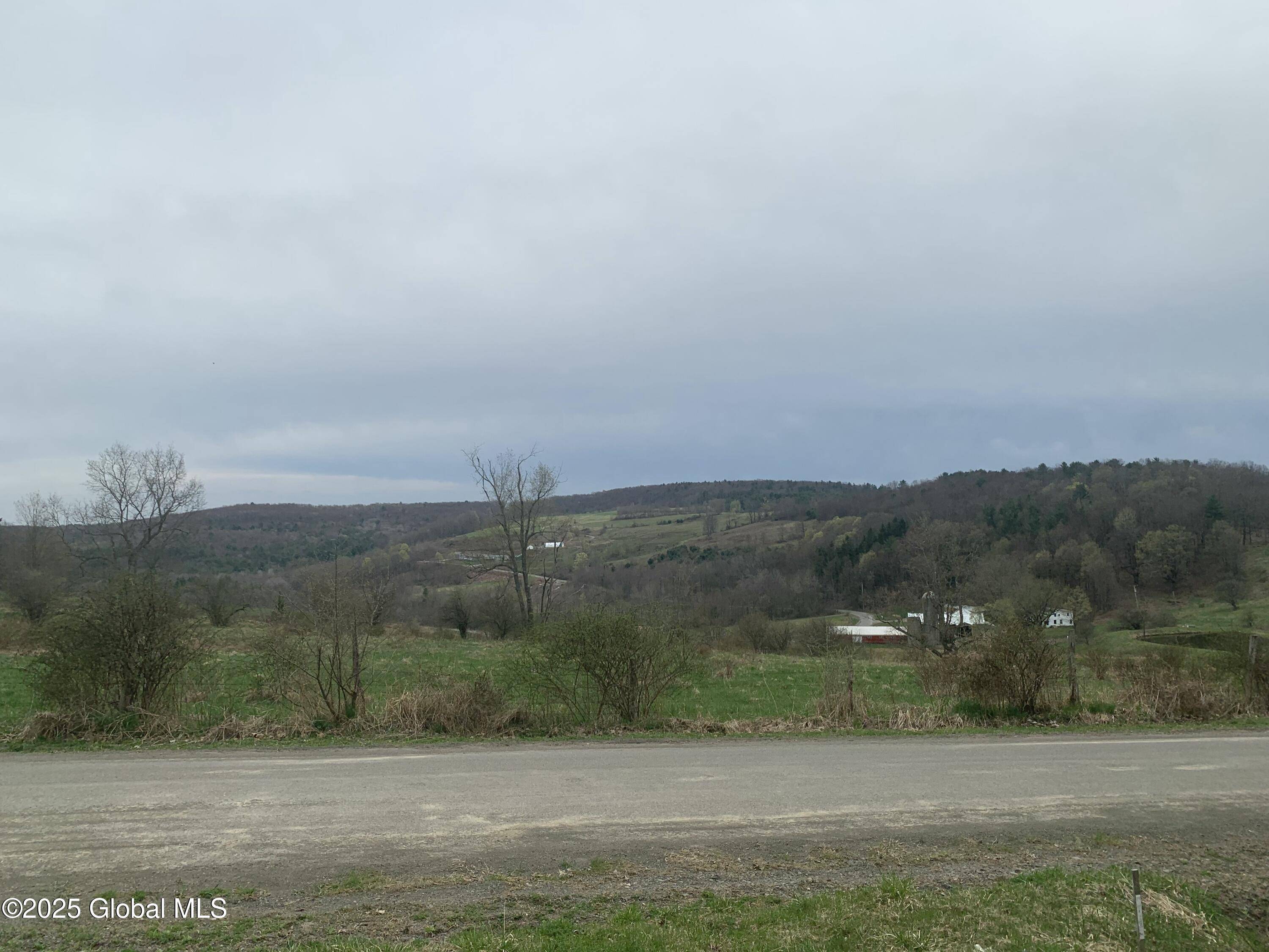 Colesville, NY 13787,19 Holcomb Road