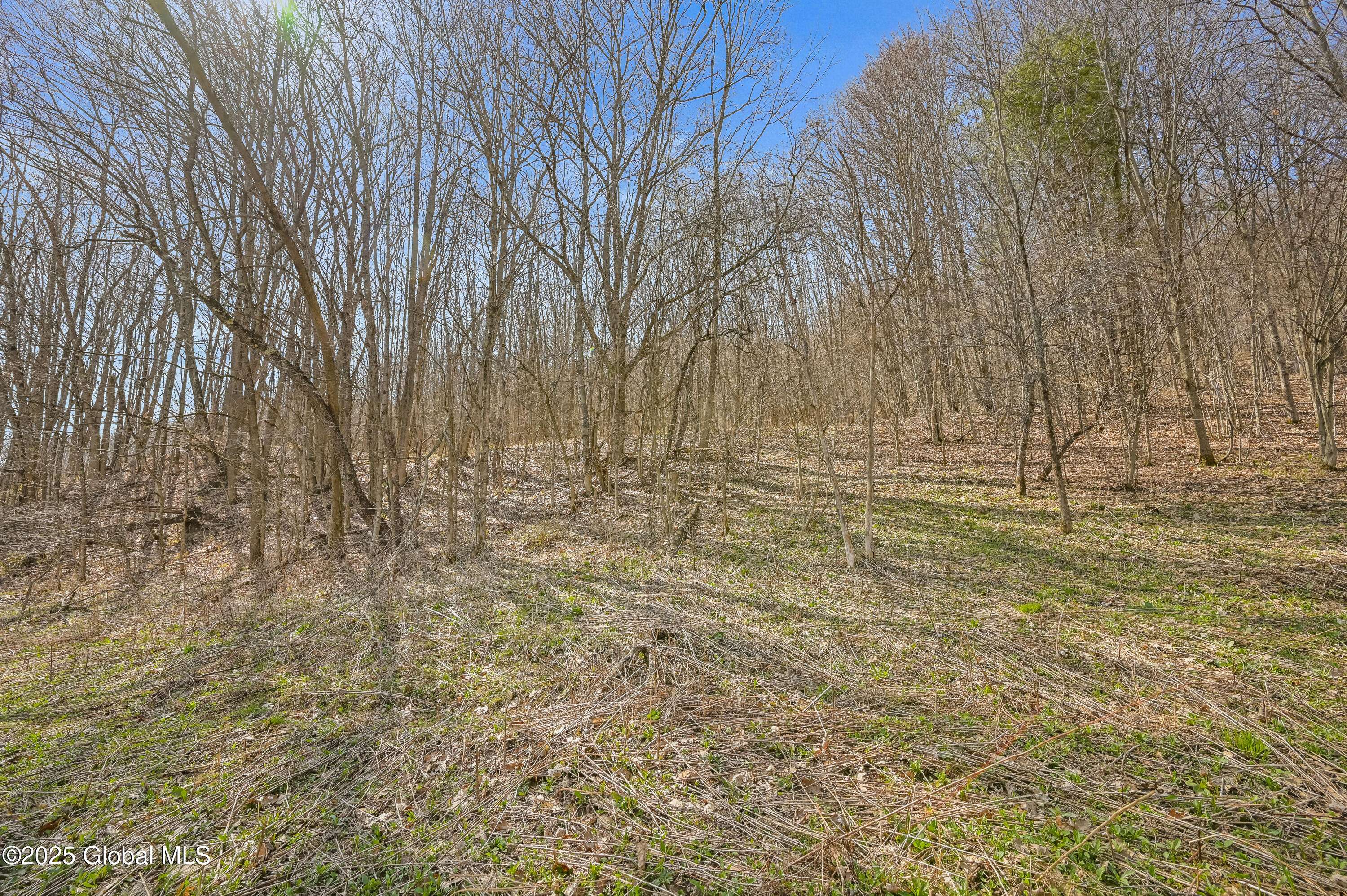 Summit, NY 12175,L9.112 Lutheranville Road