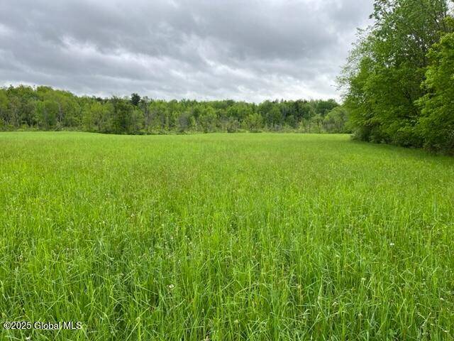 Root, NY 13317,L1.12 Carlisle Road
