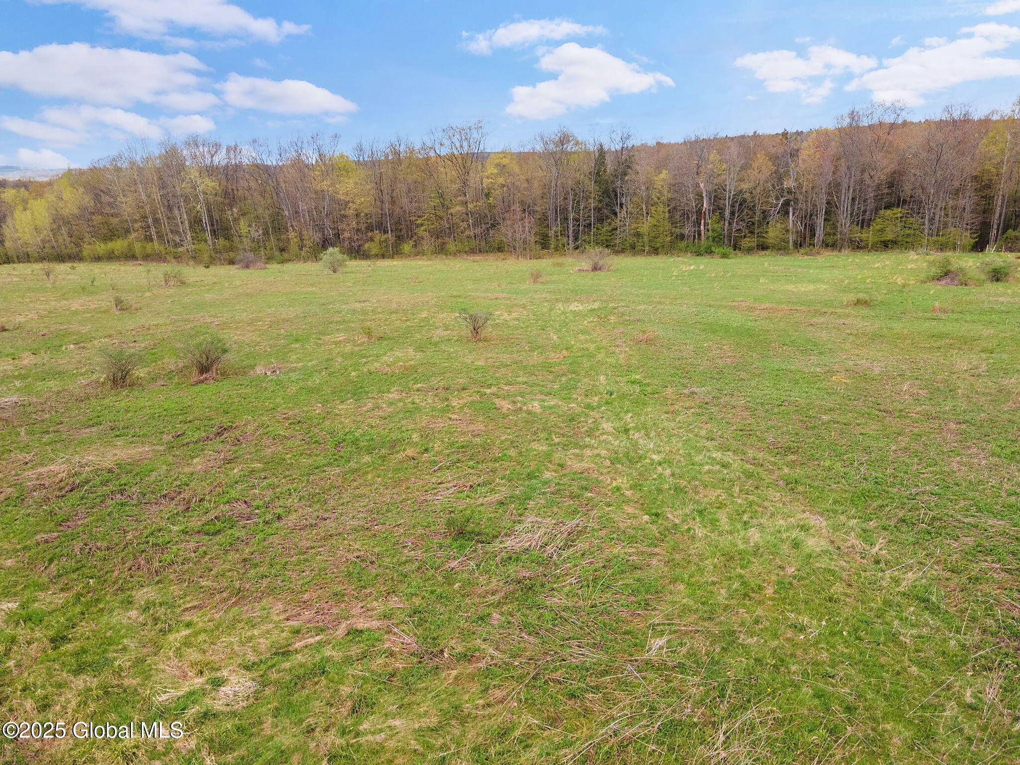 Greene, NY 13778,L18 Wylie Horton Rd