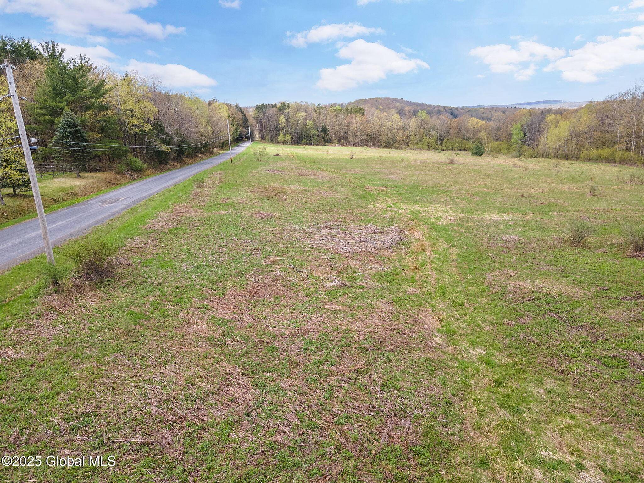 Greene, NY 13778,L18 Wylie Horton Rd