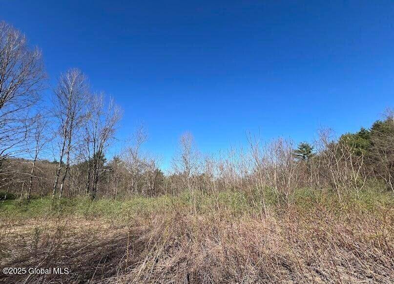 Argyle, NY 12809,L9 McNeil Road