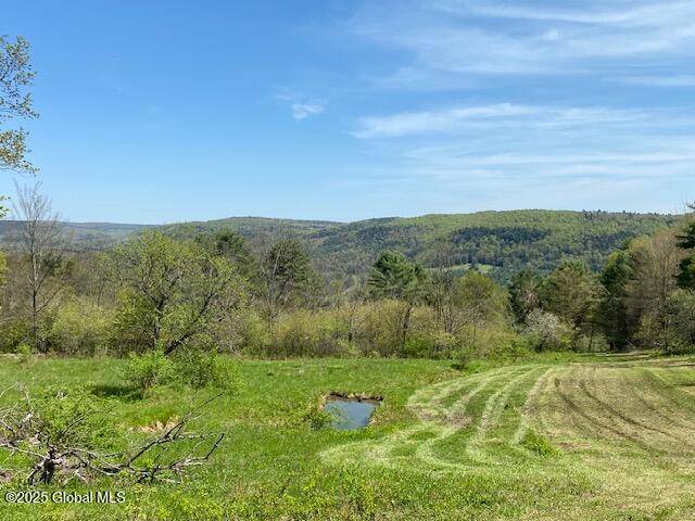 Worcester, NY 12197,L27.05 County Hwy 40