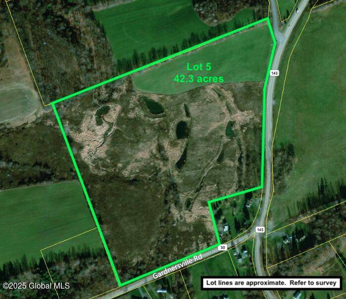 Seward, NY 13459,103 Franklin Bellinger Road