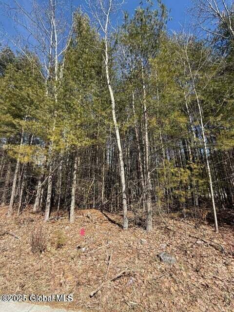 Warrensburg, NY 12885,24 Sanford Street