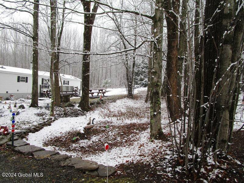 Summit, NY 12175,136 Beards Hollow Road