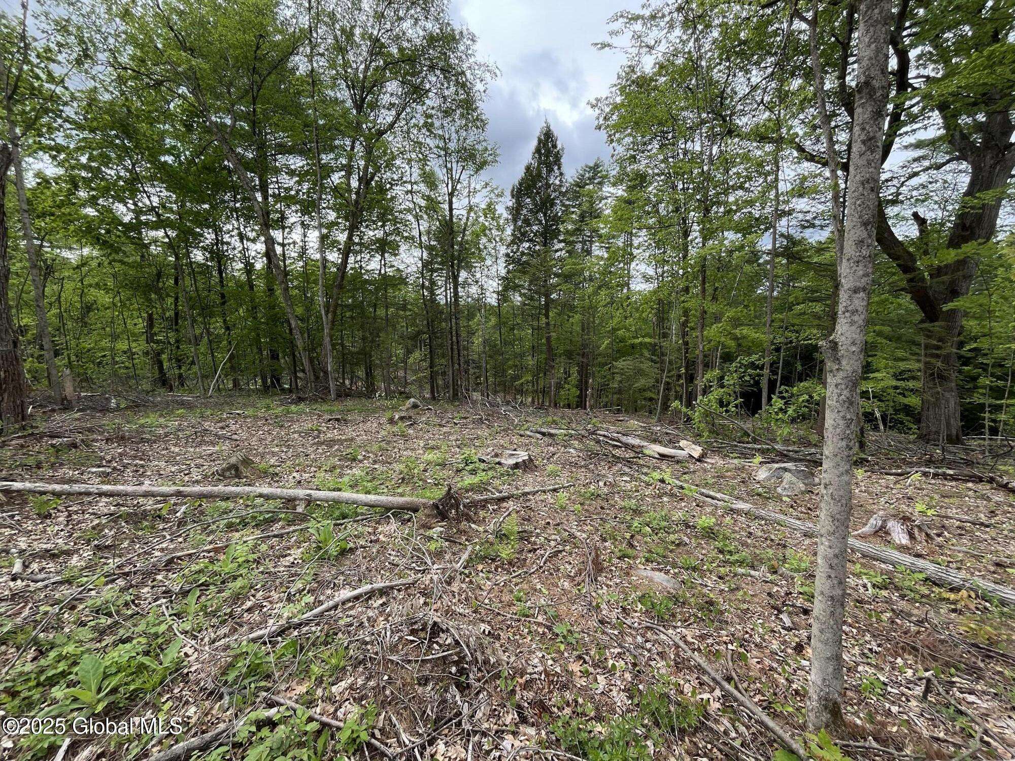 Kingsbury, NY 12839,L4.2 Tripoli Road