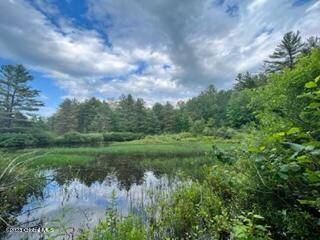 Johnstown, NY 12078,Lot 4 McGregor Road
