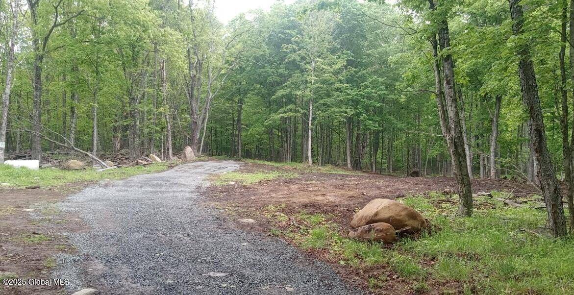 Edinburg, NY 12134,L5 Fox Hill Road