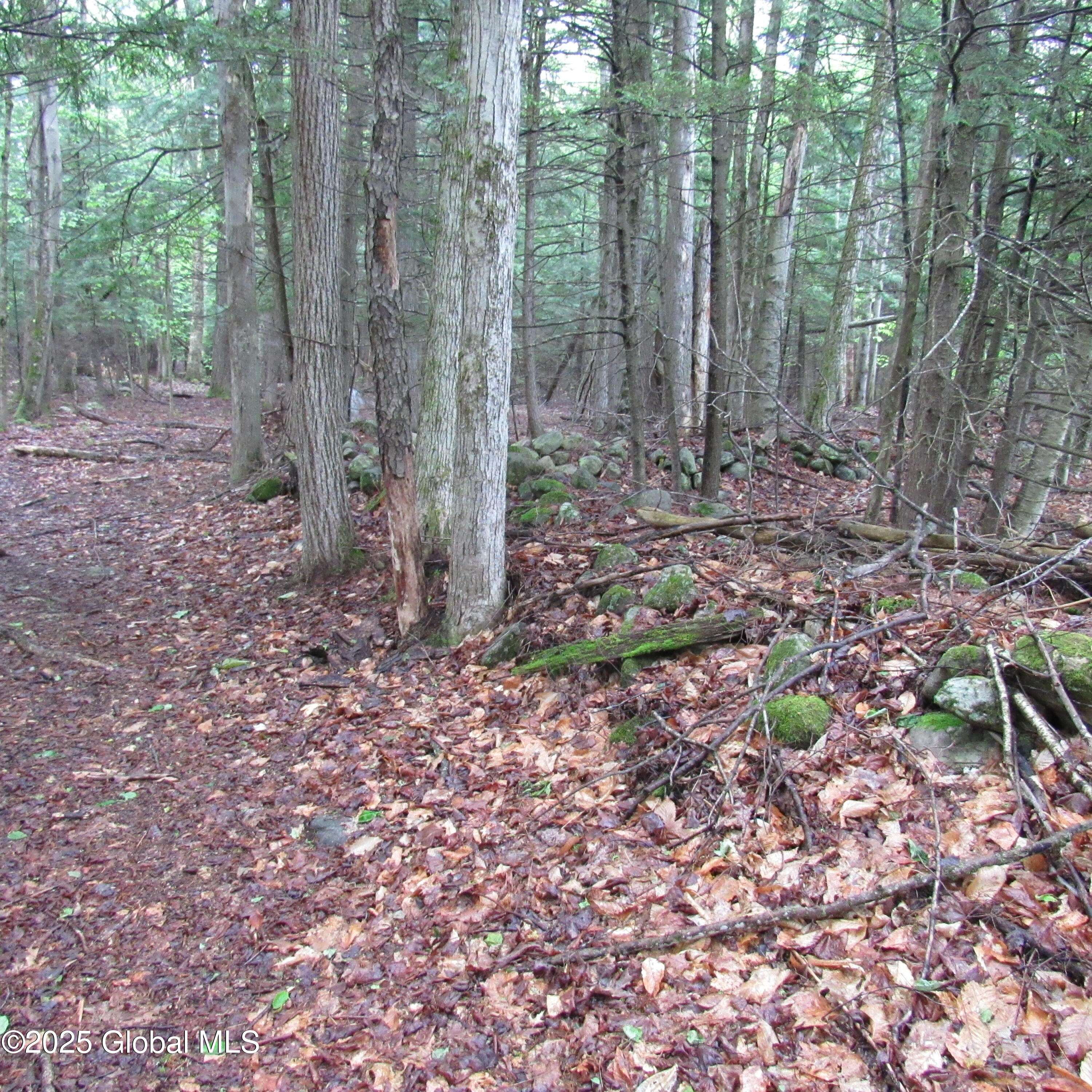 Northampton, NY 12134,L5 Seven Hills Road
