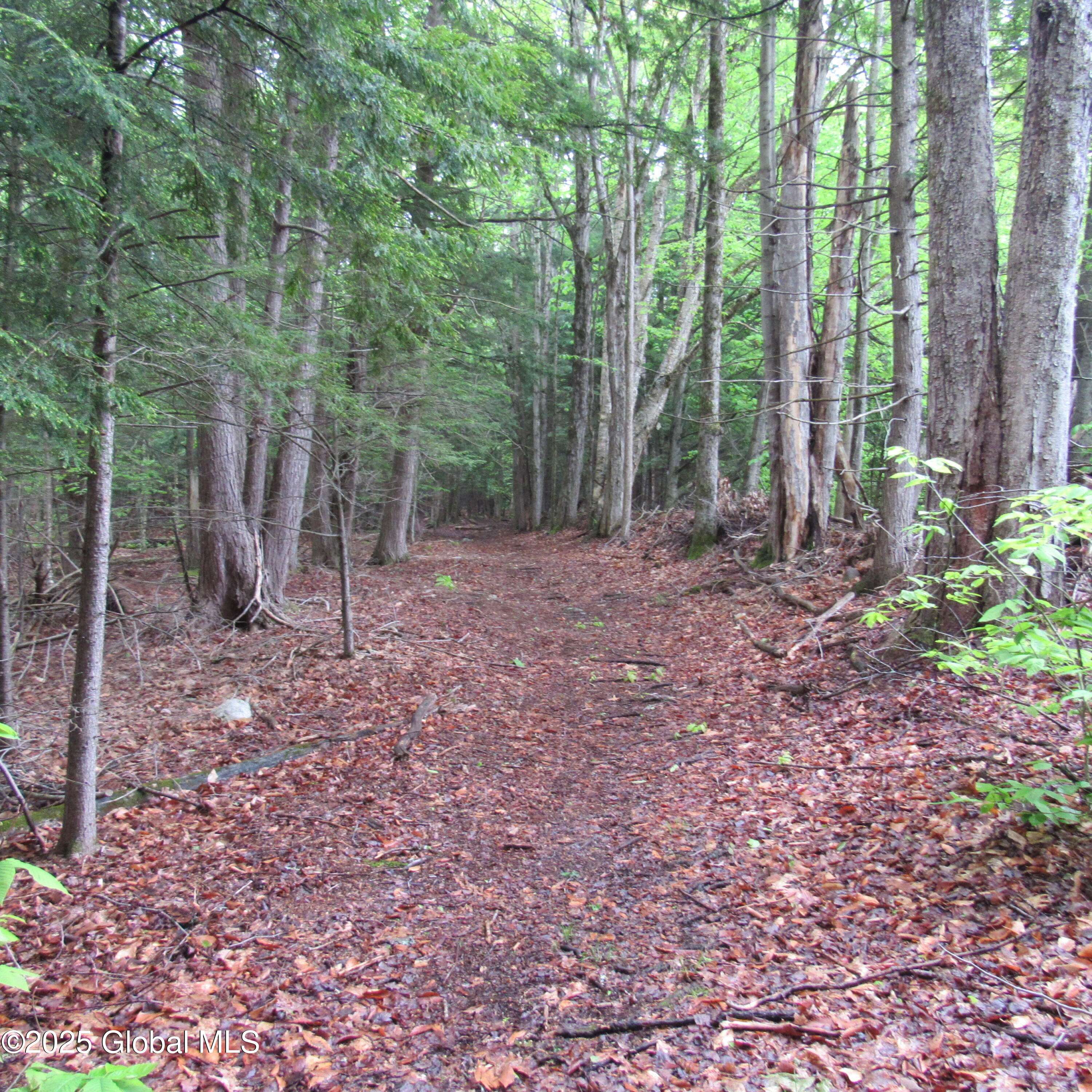 Northampton, NY 12134,L5 Seven Hills Road