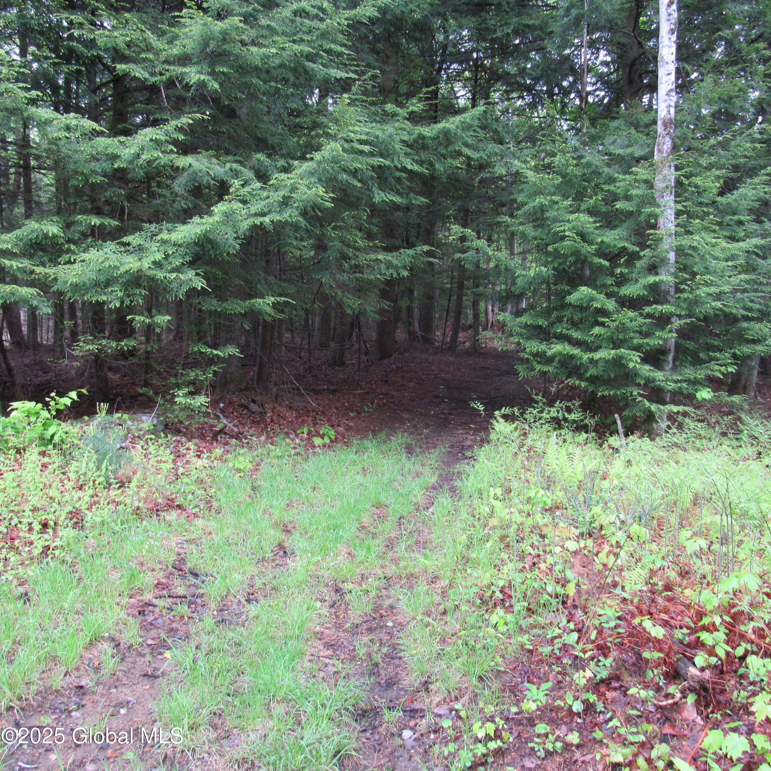Northampton, NY 12134,L5 Seven Hills Road