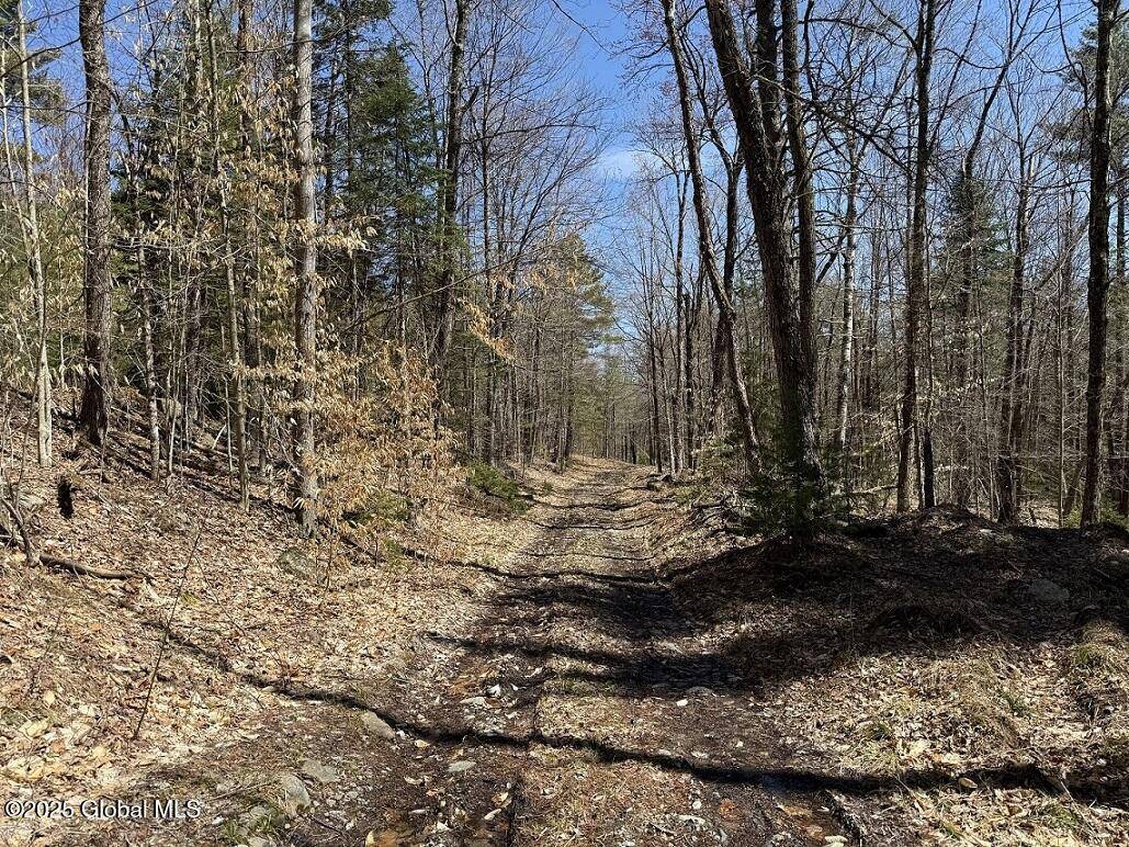 Schroon, NY 12870,L12.111 Thilo Road