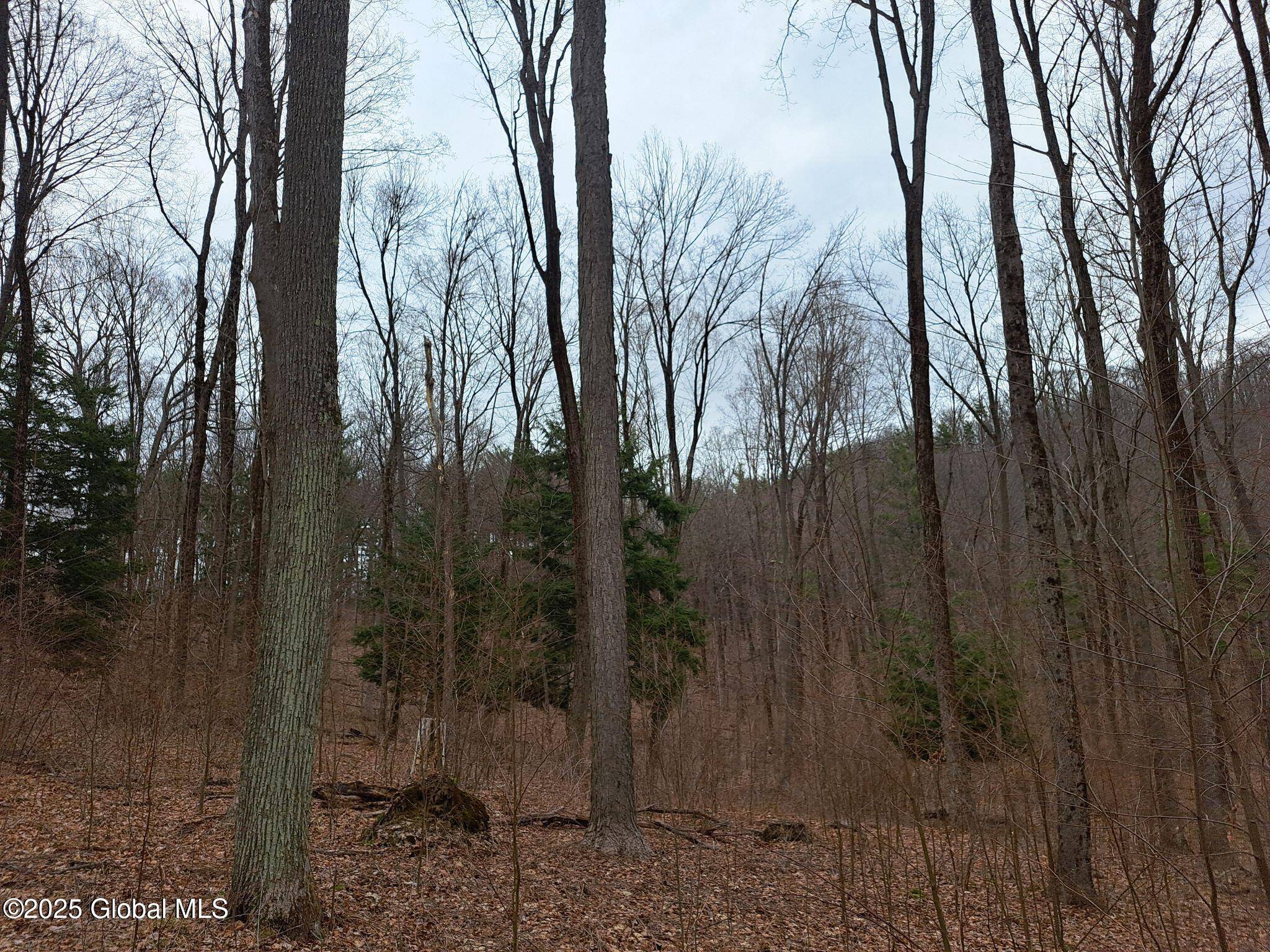 Greenwich, NY 12834,851 Bald Mountain Road