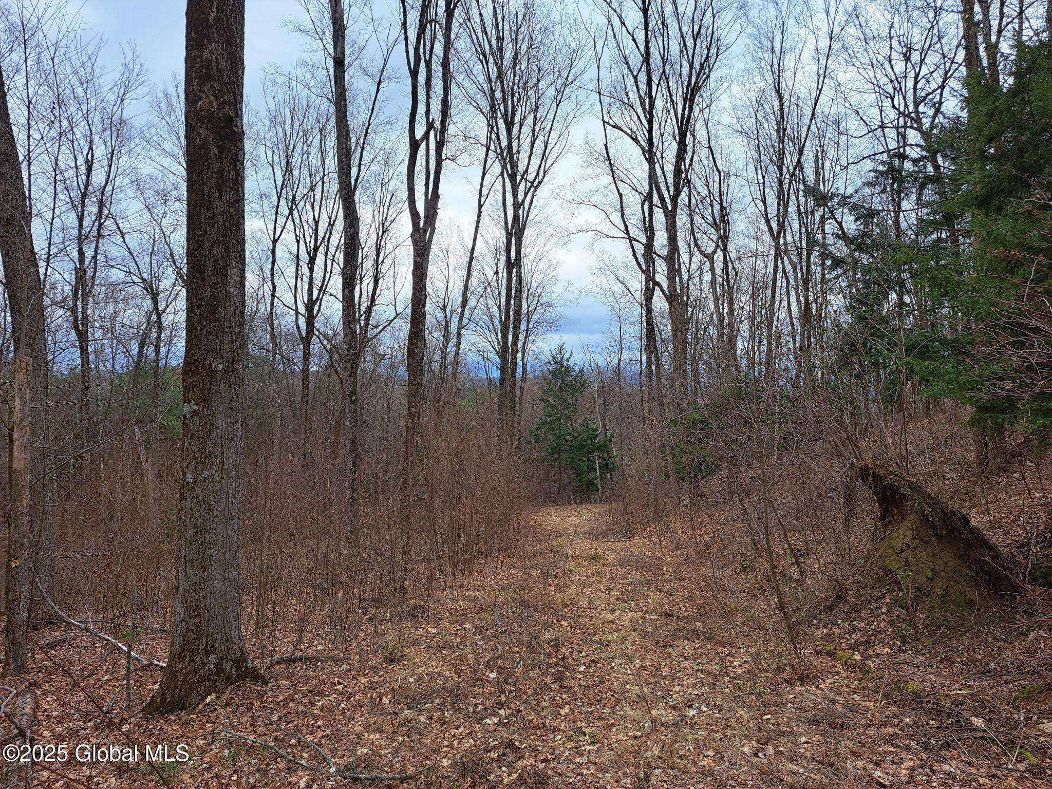 Greenwich, NY 12834,851 Bald Mountain Road