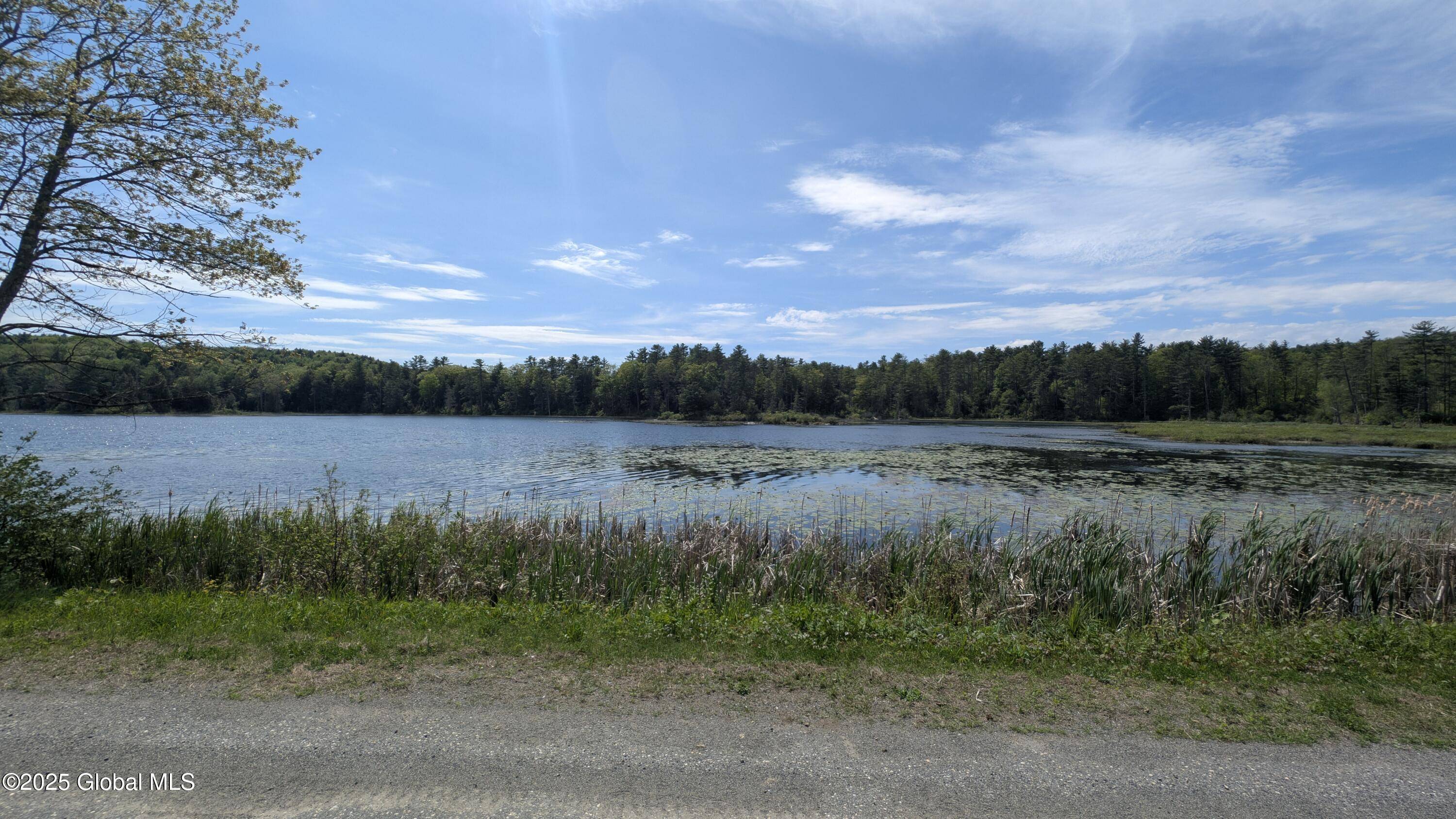 Whitehall, NY 12887,L18.4 Holcombville Road