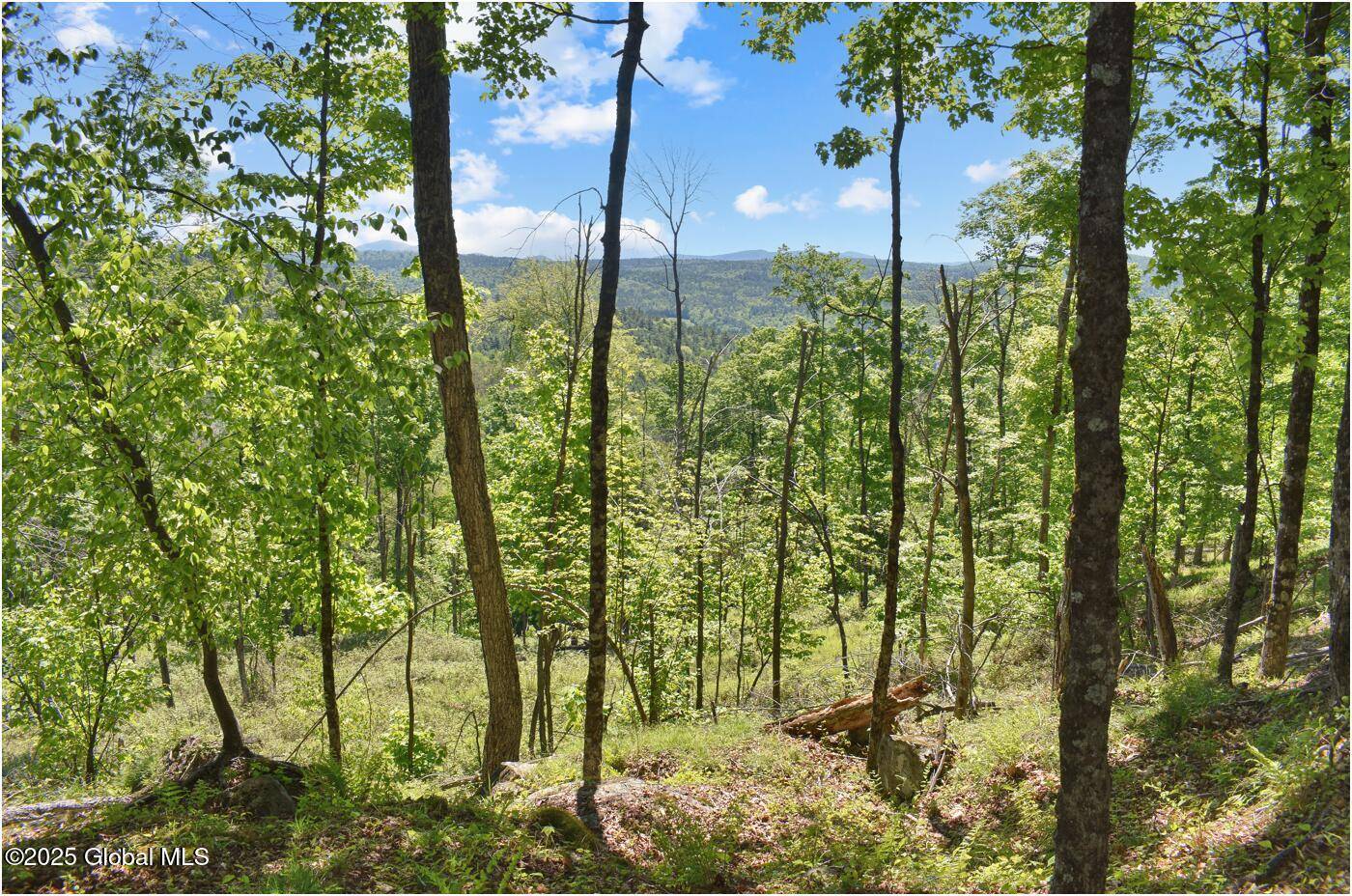 Horicon, NY 12815,364 Pease Hill Road