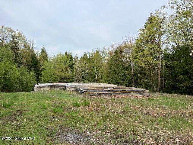 Bolton, NY 12814,90 Indian Summit Drive