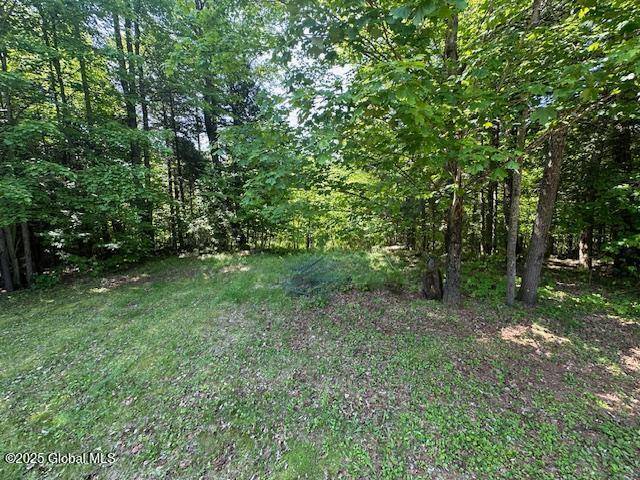 Moriah, NY 12960,261 Chipmunk Lane