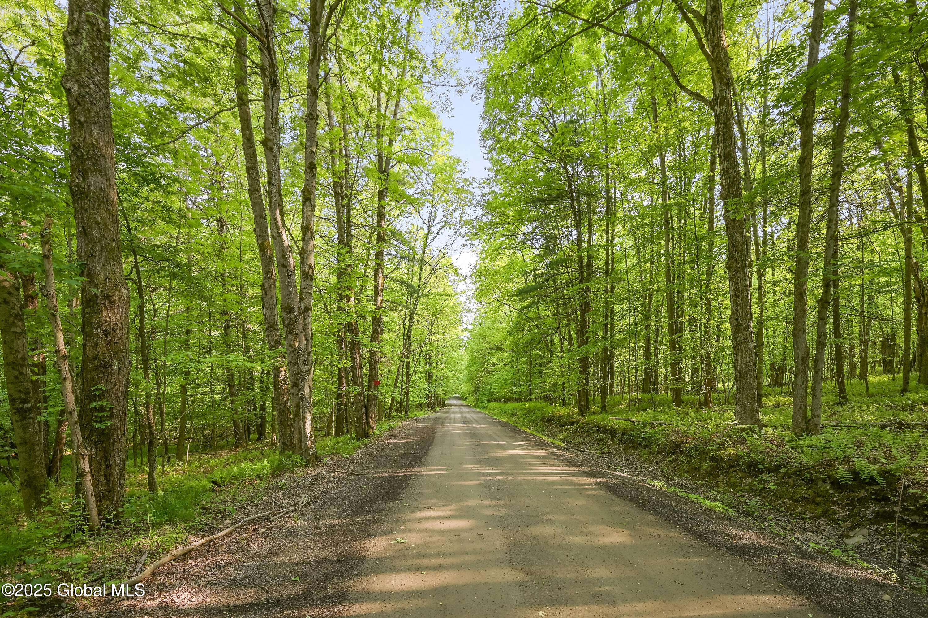 Laurens, NY 13796,L22.22 Mud Road