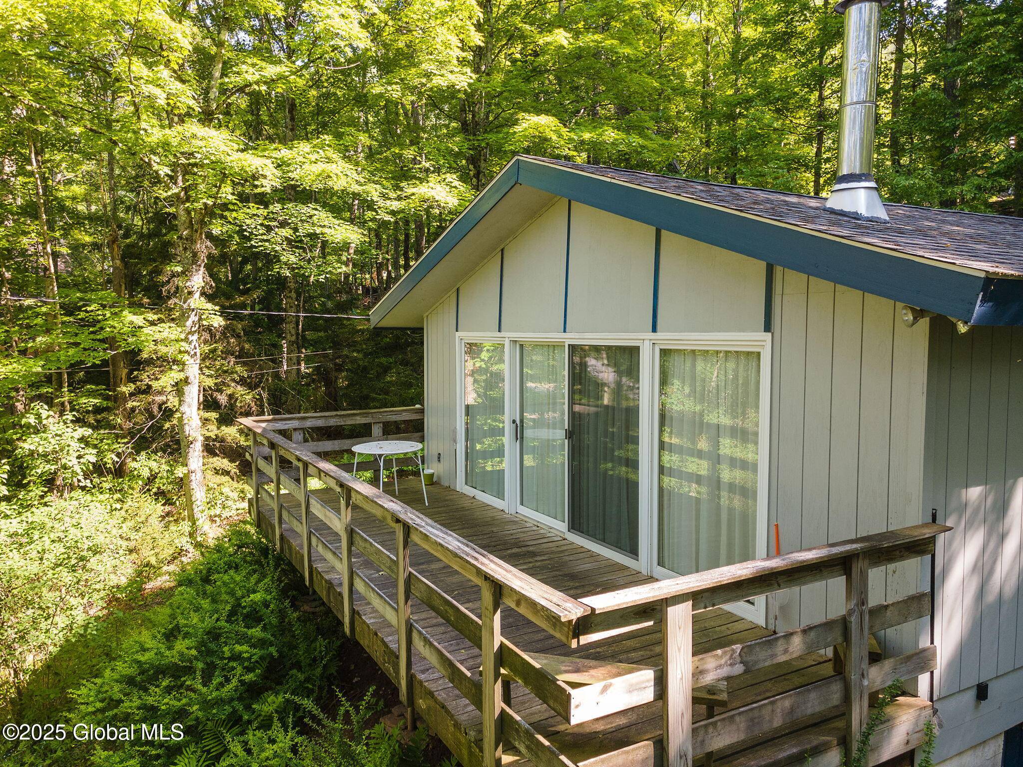 Hunter, NY 12442,101 Hunter Lane