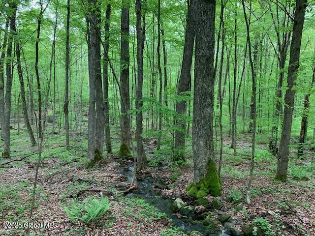 Bolton, NY 12814,0 Trout Falls Road