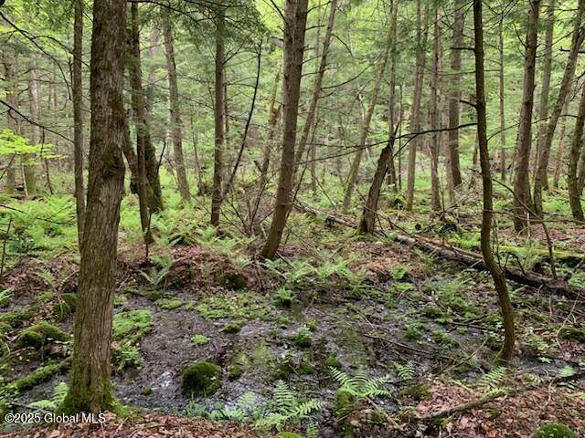 Bolton, NY 12814,0 Trout Falls Road