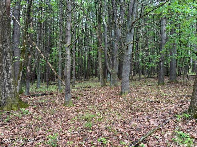 Nassau, NY 12123,52 Totem Lodge Road