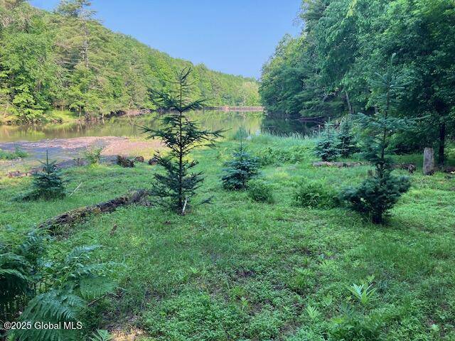 Schaghticoke, NY 12121,215 Mineral Springs Road