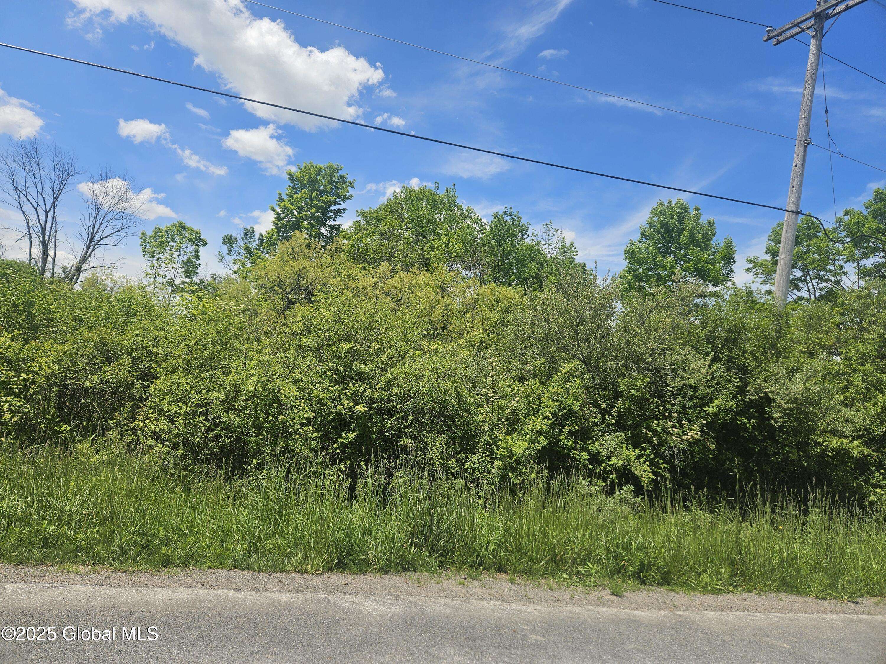 Sharon Springs, NY 13459,L15 Button Street