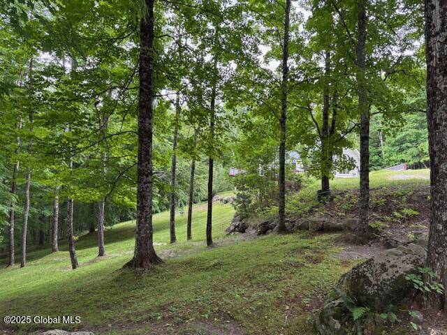 Johnsburg, NY 12856,202 Old School House Road