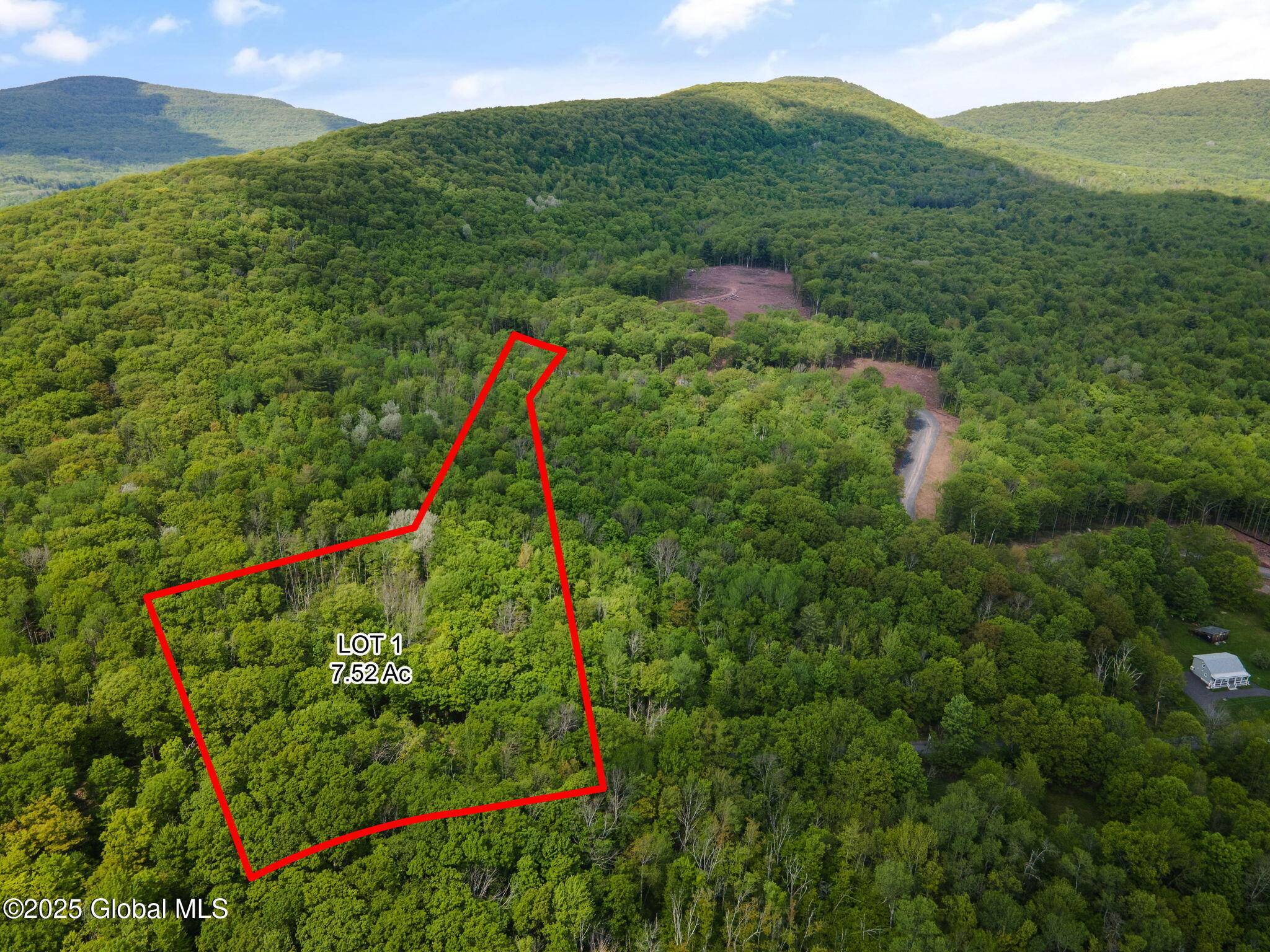 Windham, NY 12496,3 Galway Road