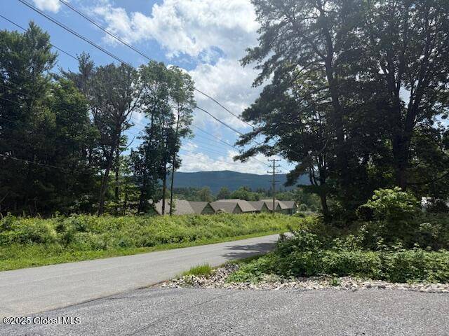 Lake George, NY 12845,43 Thomson Avenue