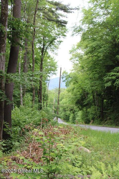 Warrensburg, NY 12885,L 30.1 Pucker Street