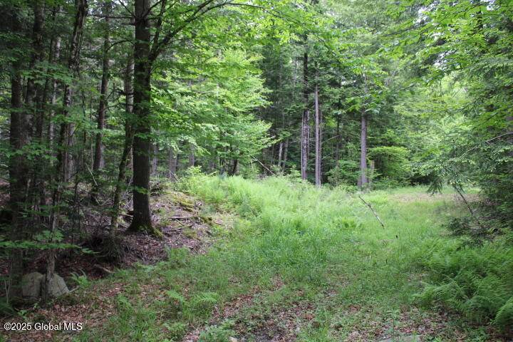 Warrensburg, NY 12885,L 30.1 Pucker Street