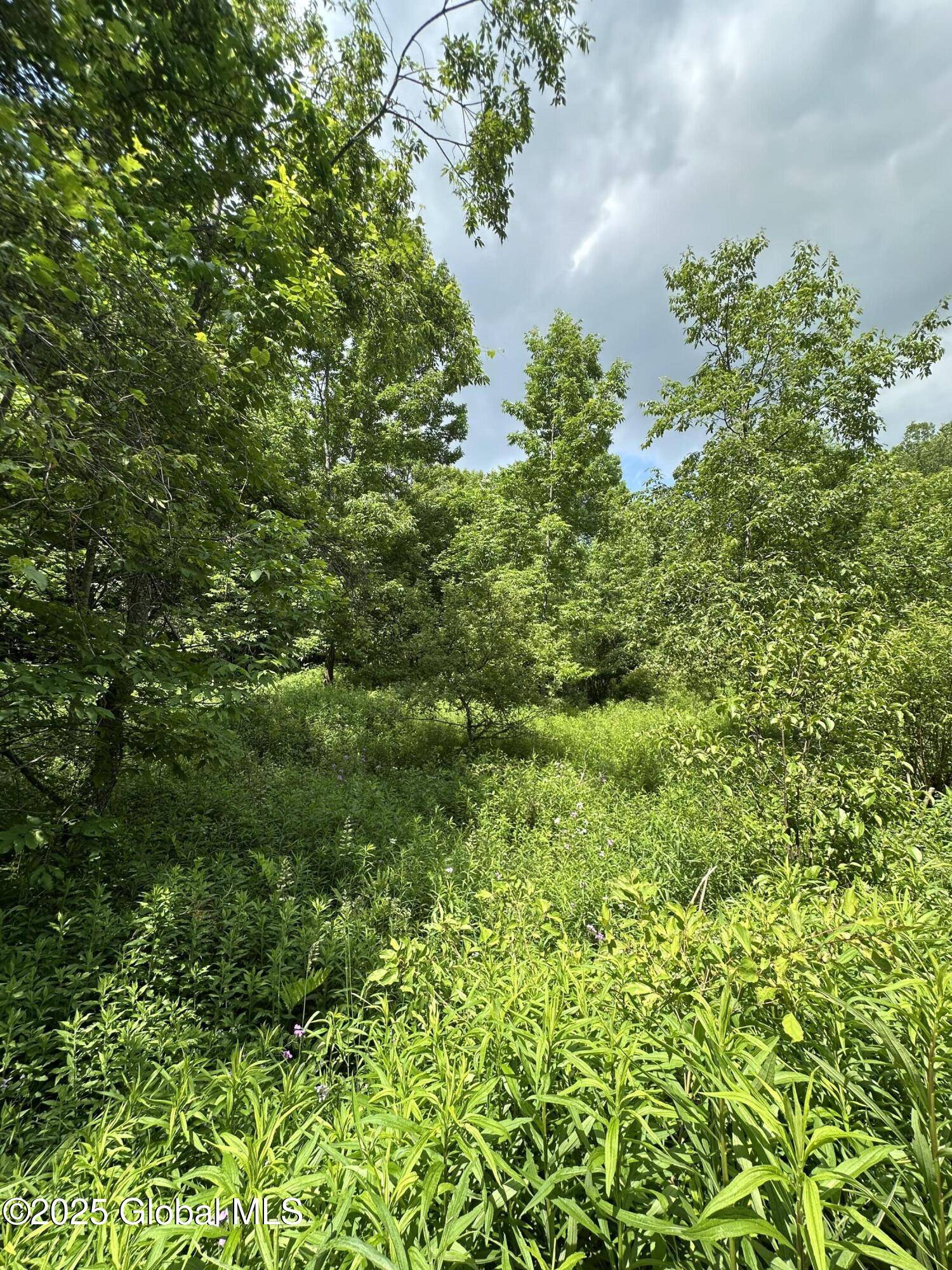 Conesville, NY 12076,L11 C Buel Road