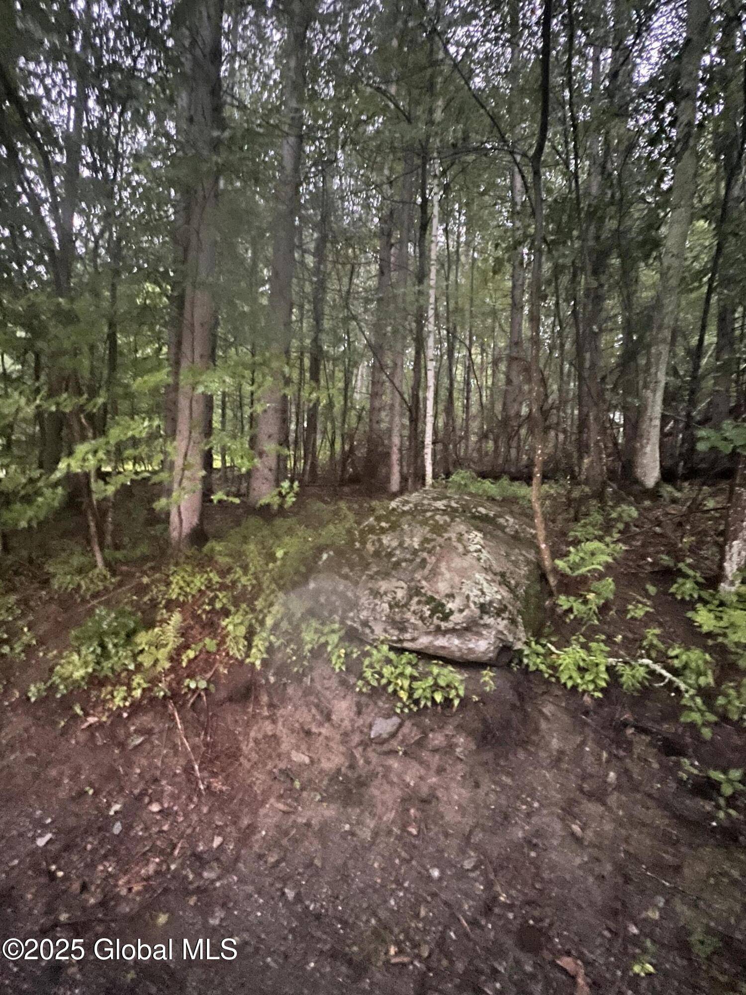 Argyle, NY 12809,1374 Tall Pines Way