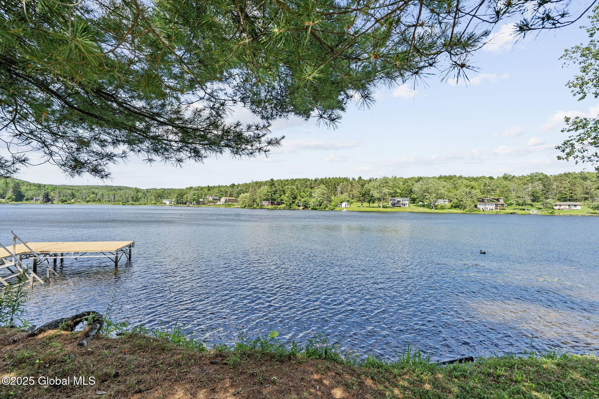Berne, NY 12186,31 W Shore Drive