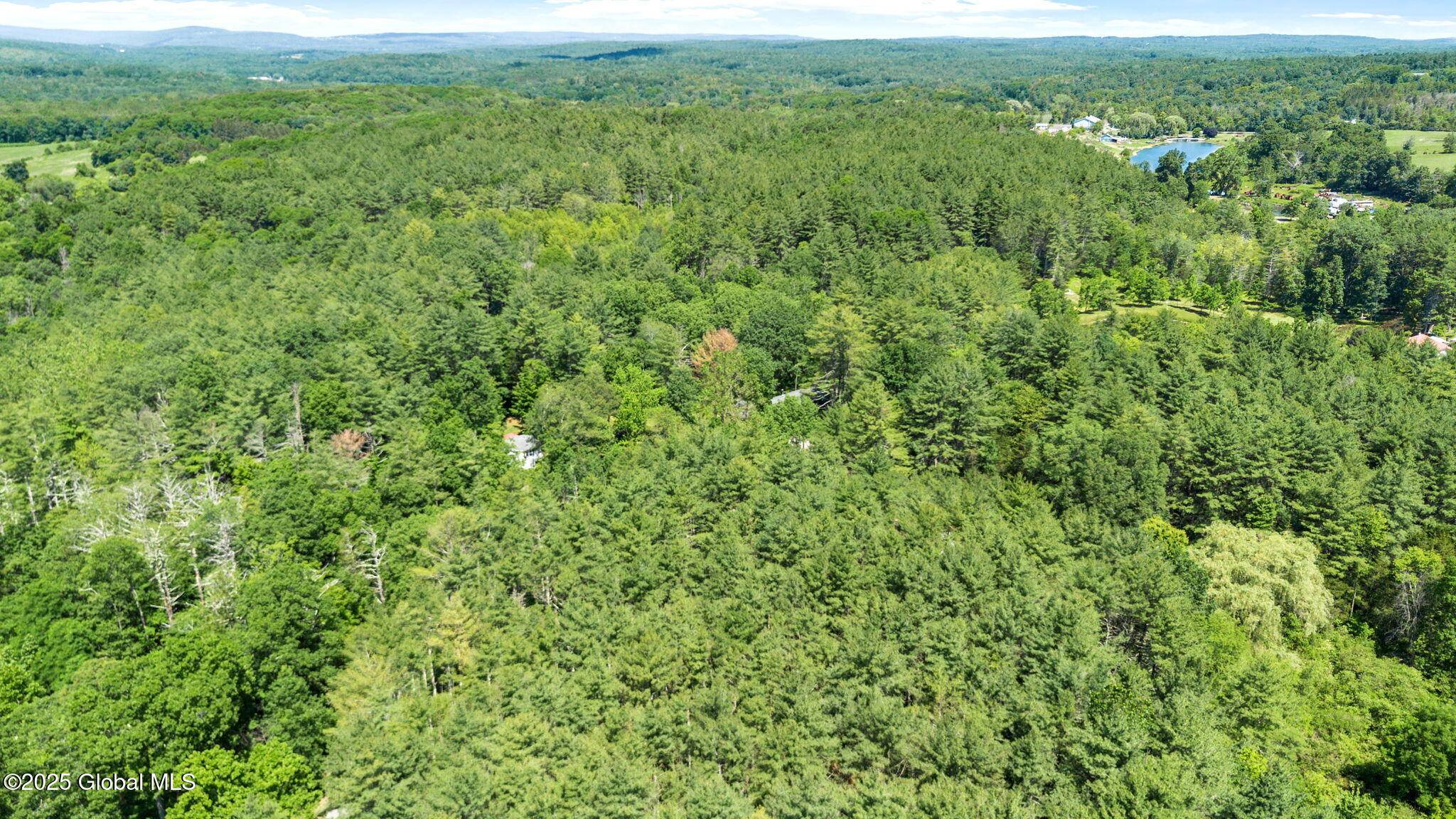 Cairo, NY 12413,L4 Circle Drive