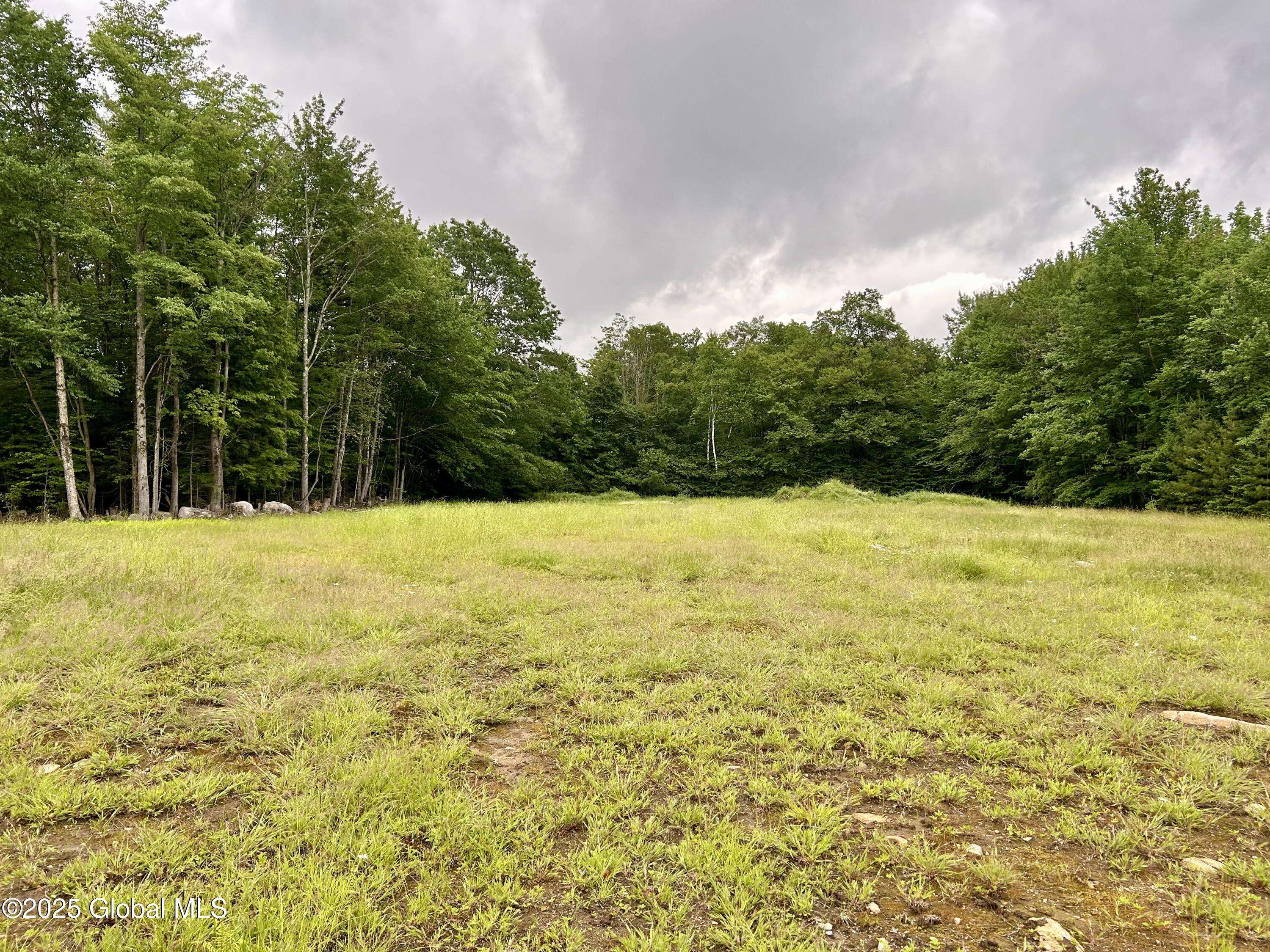 Bleecker, NY 12078,L1 Persch Road