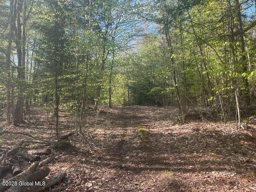 Chester, NY 12817,L12 Adirondack Heights Road #Lot #6