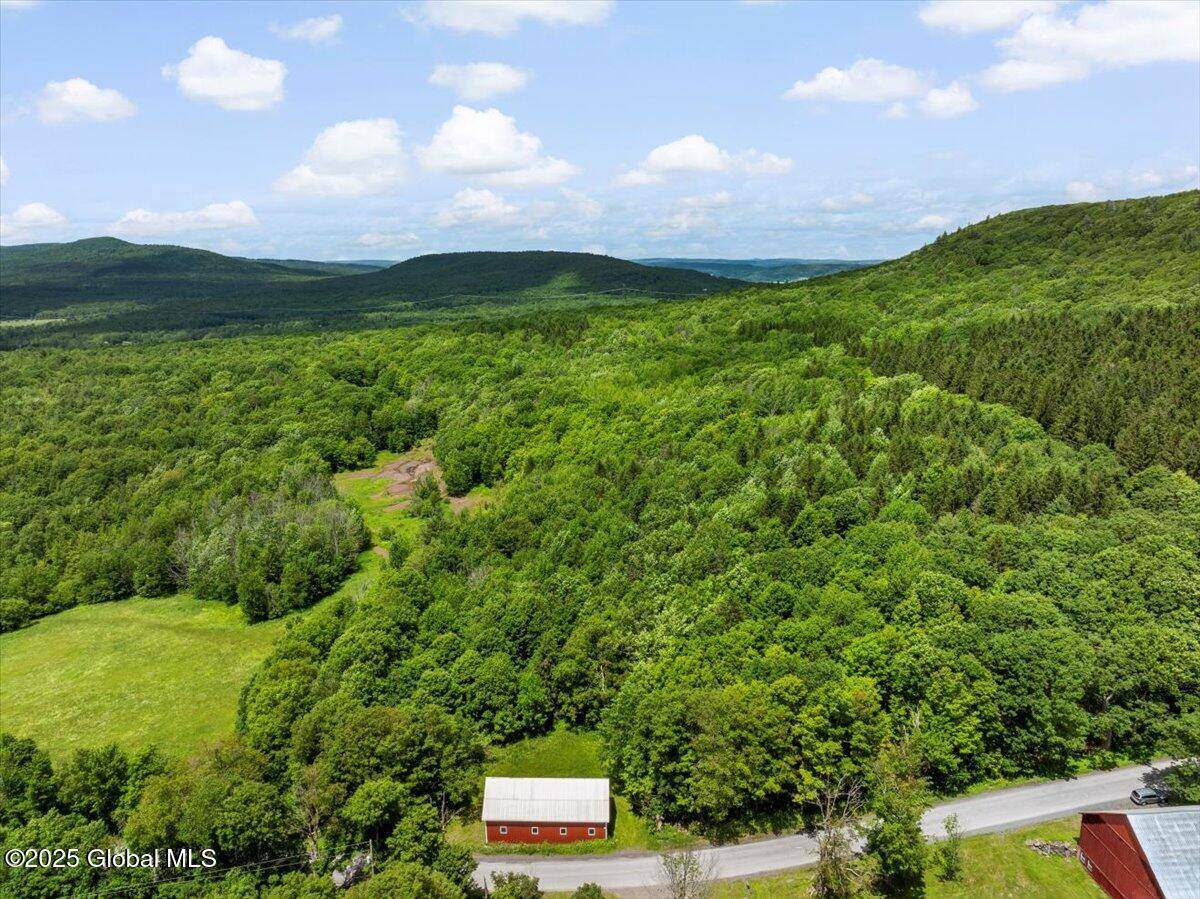 Conesville, NY 12076,L3 Durham Road