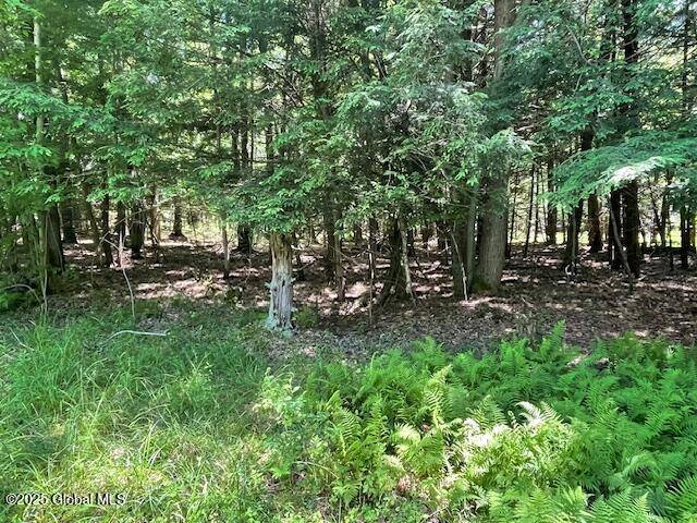 Sand Lake, NY 12018,204 Bauer Road