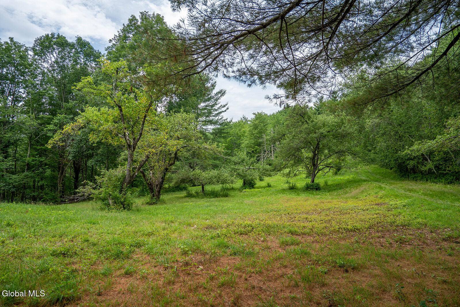 White Creek, NY 12816,237 Bates Road